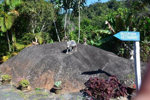 Foret Austral Ranomafana ภายนอก รูปภาพ