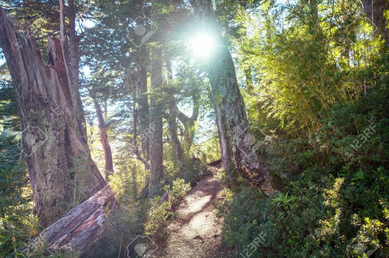 Foret Austral Ranomafana ภายนอก รูปภาพ
